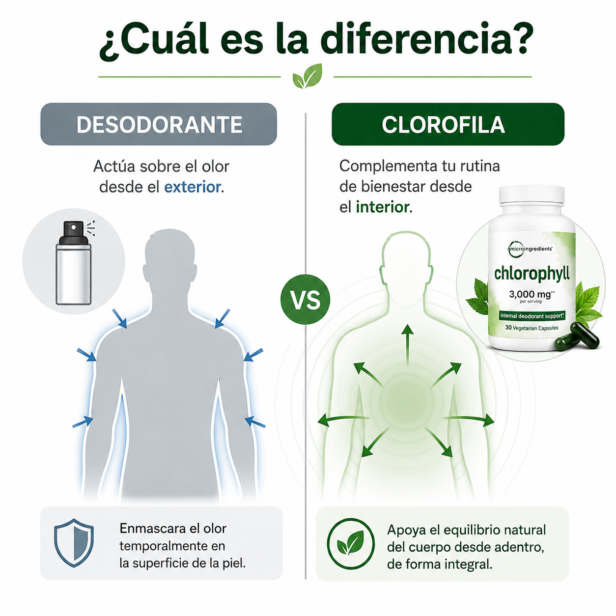CLOROFILA EN CÁPSULAS 30